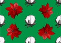 Poinsettia and cotton christmas pattern
